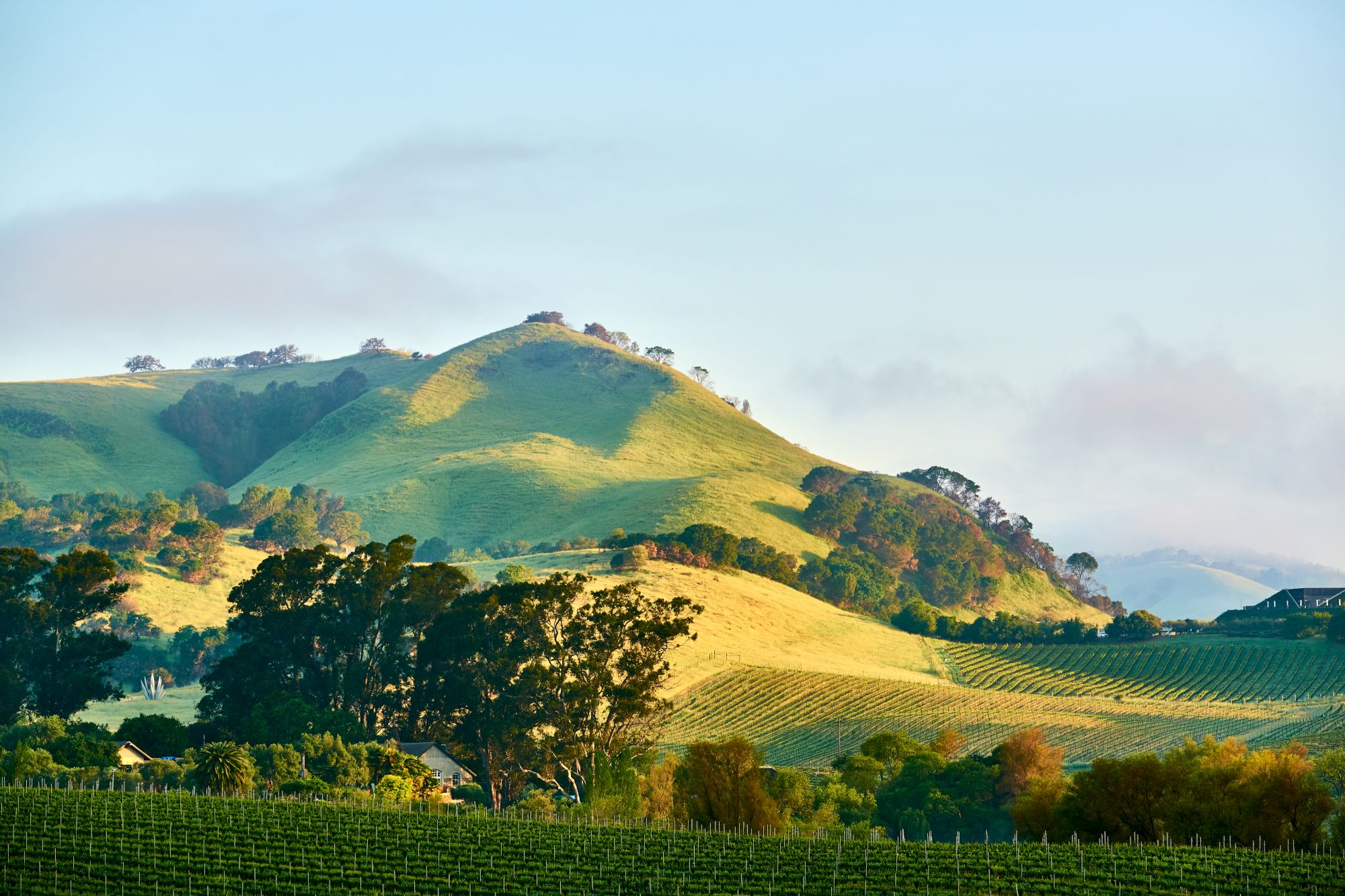 Rolling green hills and terraced vineyards stretch across the landscape under a cloudy blue sky, with trees and farm buildings below.