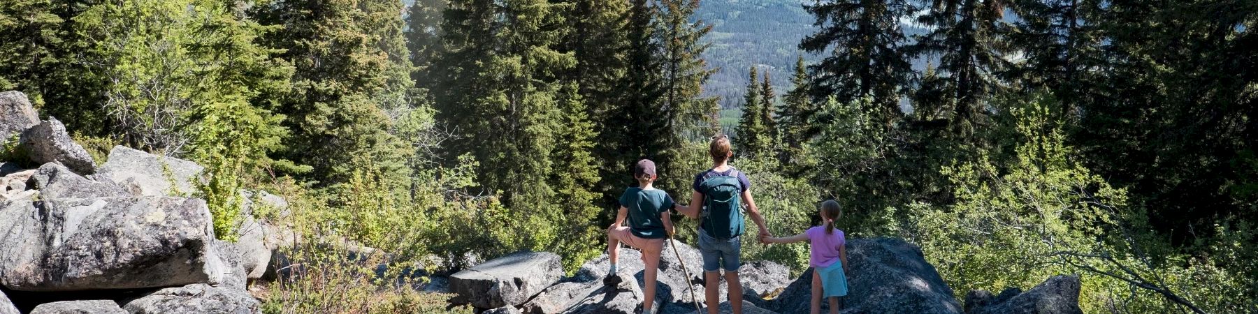 Three hikers with backpacks walk on rocks in a lush pine forest, overlooking a mountain valley and greenery.