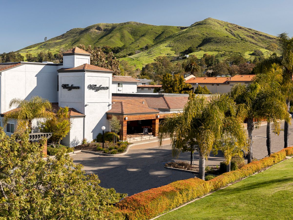 A sunny resort-style hotel with white buildings and terracotta roofs, palm trees, landscaped grounds, and green hills behind it.